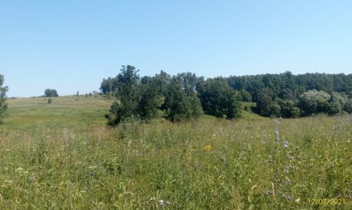 р. Городенка район с. Аксиньино ГО Ступино