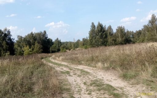 Церковь Покрова Пресвятой Богородицы в Красне ГО Коломна