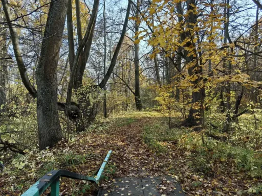 Мостик в парке в усадьбе "Щапово" г. о. Ступино. Золотая осень.