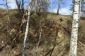 К геологии южных уездов Московской губернии