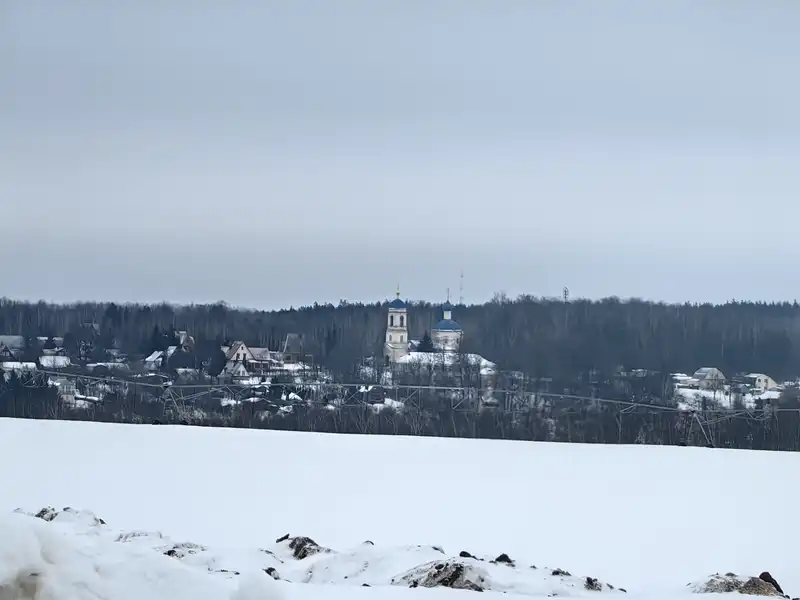 Вид на с. Спас-Дощатый от местности "Гусельки". Февраль 2026 г.