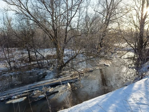 р. Городенка. Половодье на участке Дубнево-Малино г.о. Ступино