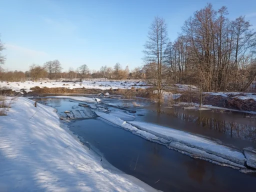 р. Городенка. Половодье на участке Дубнево-Малино г.о. Ступино