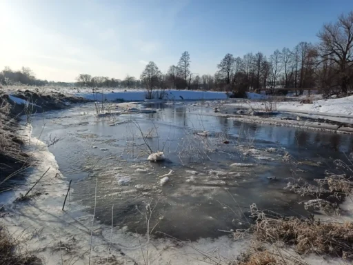 р. Городенка. Половодье на участке Дубнево-Малино г.о. Ступино