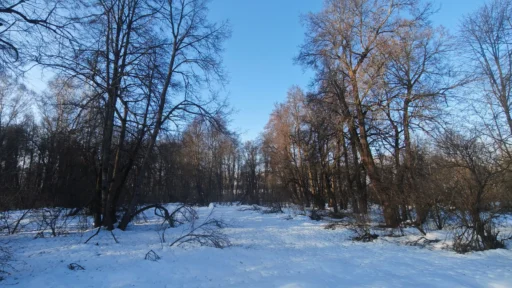 Затерянный парк, или куда может привести опечатка