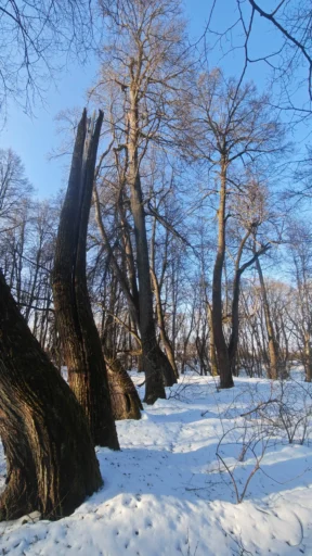 Затерянный парк, или куда может привести опечатка