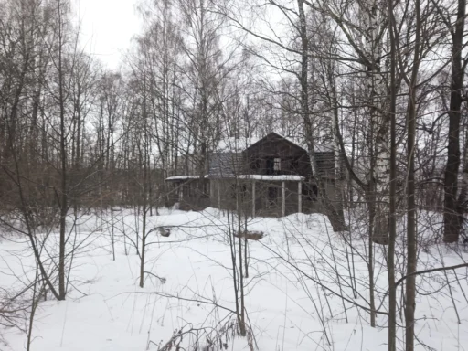 Крошечная деревня Медведево, спрятавшаяся в лесах г.о. Ступино