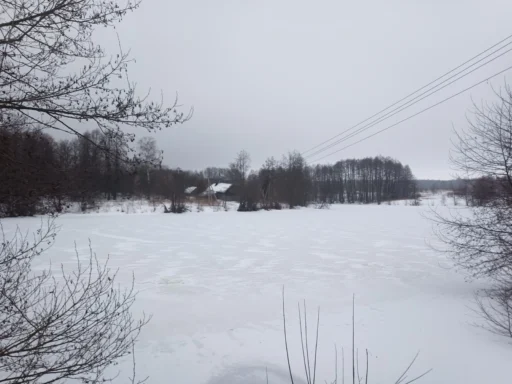 Крошечная деревня Медведево, спрятавшаяся в лесах г.о. Ступино