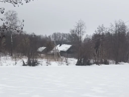 Крошечная деревня Медведево, спрятавшаяся в лесах г.о. Ступино