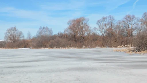 Пруд между Савельево, Сотниково и Бабеево. Рыбаки.