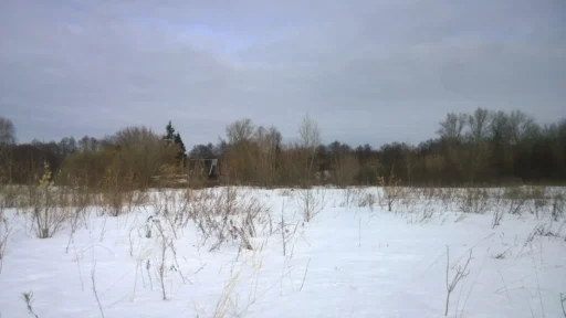 Крошечная деревня Медведево, спрятавшаяся в лесах г.о. Ступино