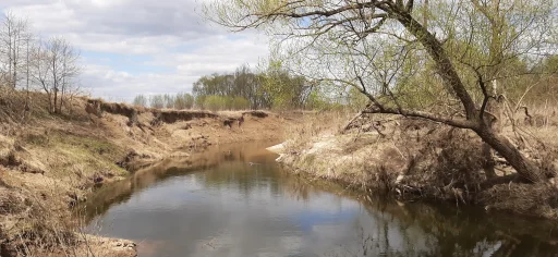 Река Каширка недалеко от городища "Старая Кашира". Весна 2023 г.