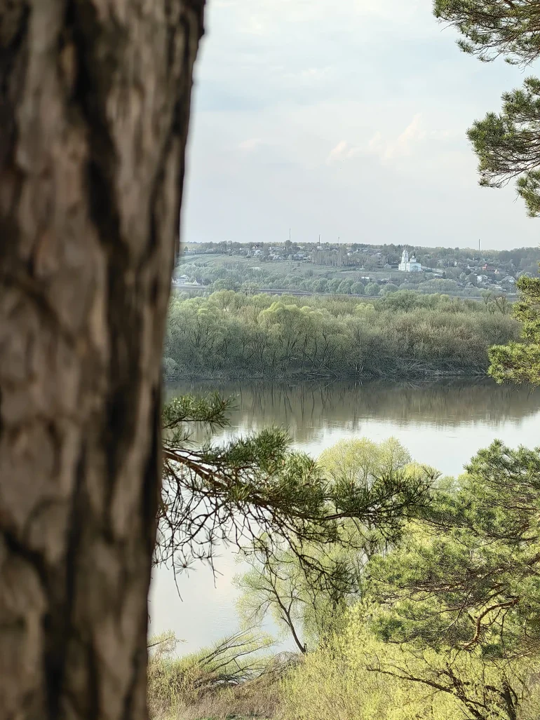 Вид на село Горы с городища Ростиславль. Апрель 2025 г. Фото Т. Залата.