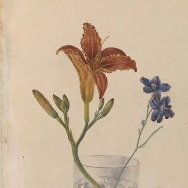 Натюрморт с цветами. Фрагмент. Из альбома «Essais d'apres la Nature de mademoiselle Julie Shavrofe». 5 июля 1848 г. ГИМ. NN: ГК 57241458 / по КП (ГИК): ГИМ 61919/13 Инв.: ИА 172/13