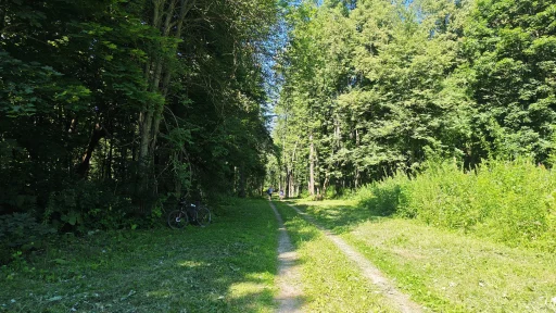 Усадьбы, усадьбы… Куртино, Лаптево, Верзилово