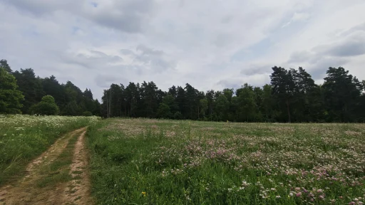 Жара, Июль, Хатунь
