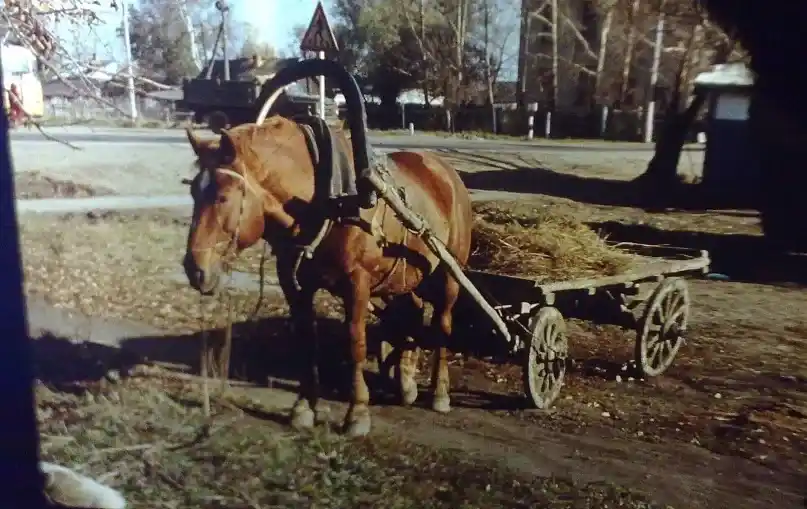 Малино, 1970-е — 1980-е гг. Напротив автостанции. Виден край малинской поликлиники. Фотография Евгения Романова. Загружено Татьяна Залата