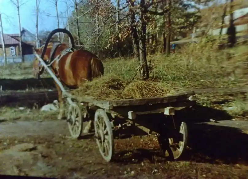 Малино, 1970-е — 1980-е гг. Фотография Евгения Романова. Загружено Татьяна Залата