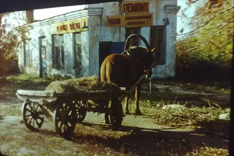 Малино, 1970-е — 1980-е гг. Возле «Ремонта часов», на рынке. Фотография Евгения Романова. Загружено Татьяна Залата