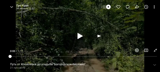 Усадьбу "Богородское-Кишкино" готовят к торгам