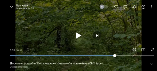 Усадьбу "Богородское-Кишкино" готовят к торгам