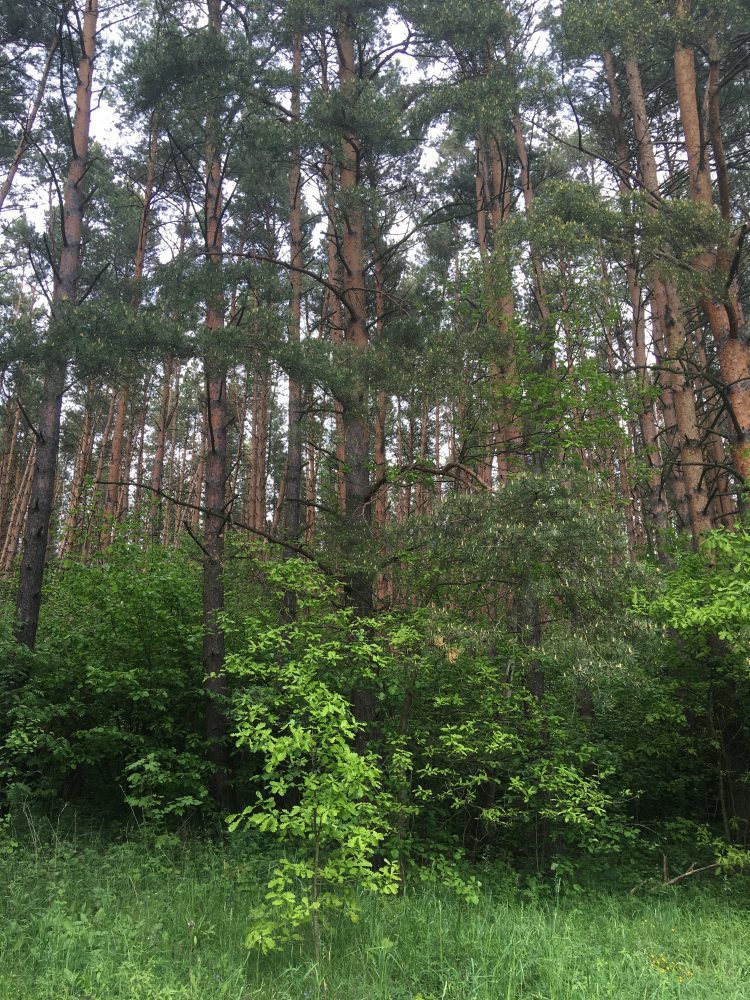 Загружено на Про Край: Алексей Протасов