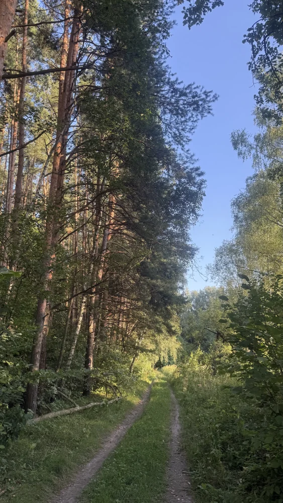 Загружено на Про Край: Алексей Протасов