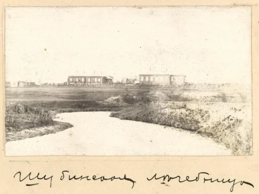 Бронницкий уезд. Шубинская лечебница. 1904 г. Фото А. Н. Хабарова (?). ГИМ. ГК: 61742083 / КП (ГИК):ГИМ 101018/794 / Инв.: И VI 45629/106.