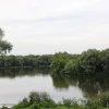 "Пьяная Лука" на Москва-реке в Коломне. Загружено на "Про Край": Татьяна Залата.