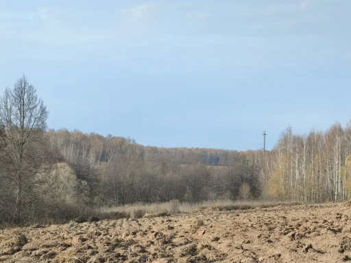 Глебово, городской округ "Ступино", Московская область. Виды. Загружено на Про Край: Татьяна Залата