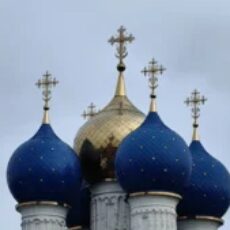 Логотип группы Бронницкая генеалогия